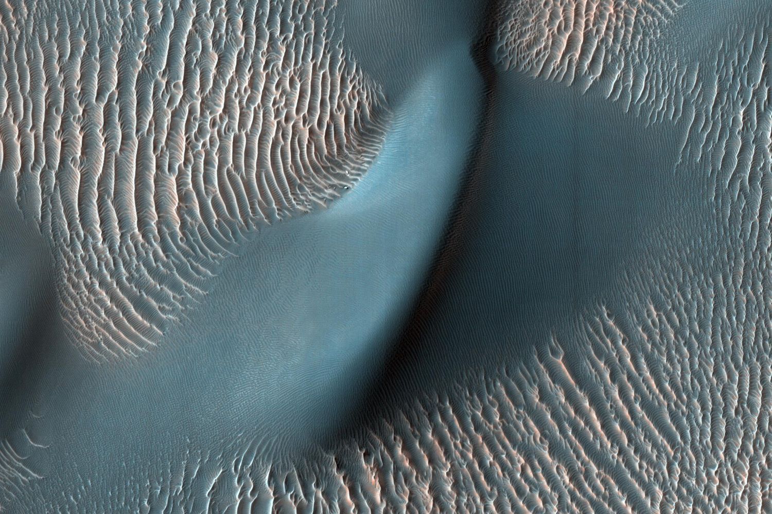 A curving dark dune crossing fields of pale ripples, seen from above.